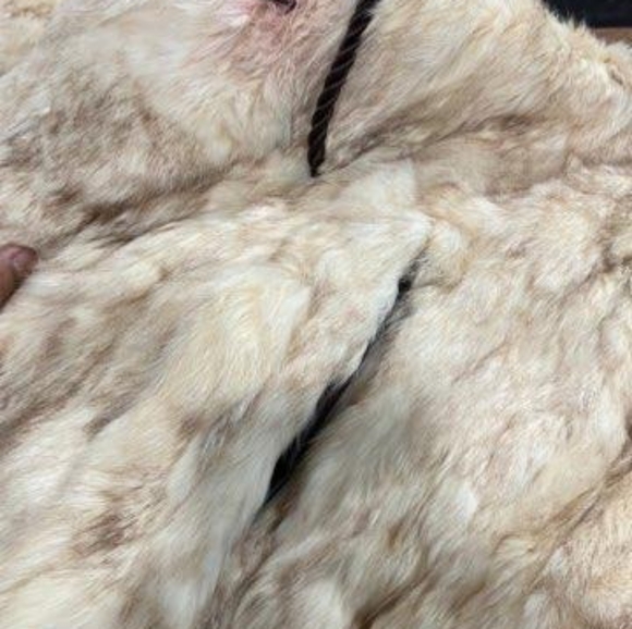 Made Korea Rabbit Fur - Picture 9 of 11